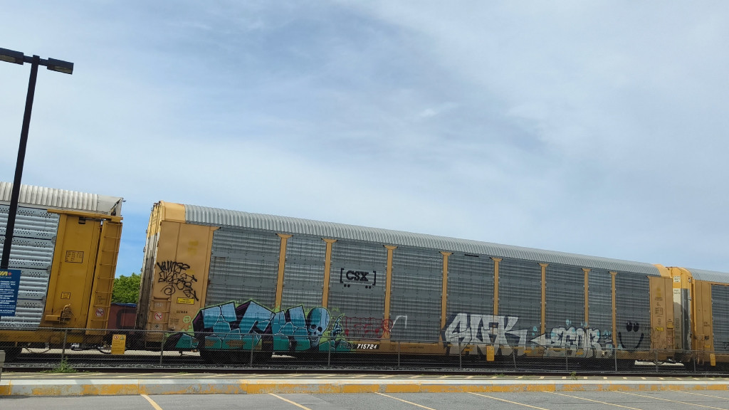 CSX B21656 (Body) TTGX 715724 (Flat)